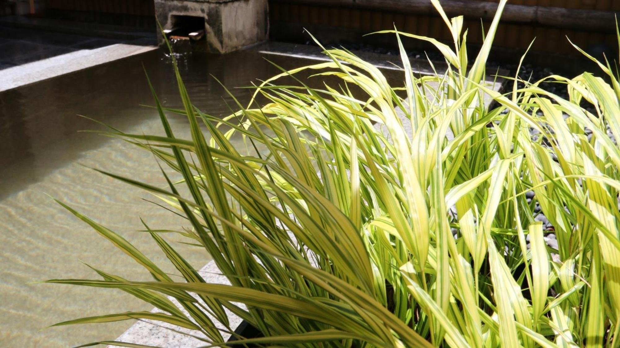 Baigetsu Ryokan Shimosuwa Dış mekan fotoğraf